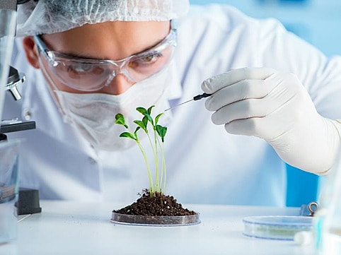 pngtree-the-biotechnology-concept-with-scientist-in-lab-biotechnology-concept-with-scientist-photo-image_2029083